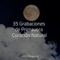 Sonidos De La Orilla - Musica relajante & Sonidos De La Naturaleza & Musica Relajante New Age Culture