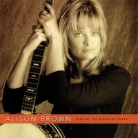 Simple Pleasures - Alison Brown