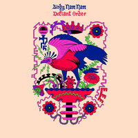 Defiant Order - Birdy Nam Nam