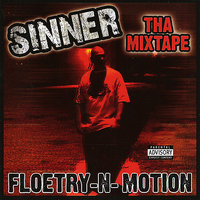 Summer to Winter - Sinner