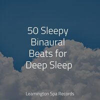 Comforting Sounds - Easy Sleep Music & Sons da Natureza & Wellness
