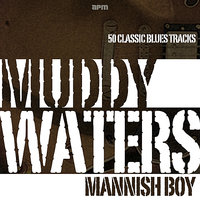 Honey Bee - Muddy Waters