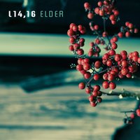 Tune for Dad - Axel Schlosser & Steffen Weber & Rainer Böhm & Arne Huber & Lars Binder