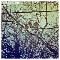 Birds - Andrew Reyan