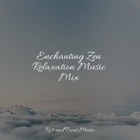 Smile to the World - Buddhist Meditation Music Set & Native American Flute & Spa Relaxation