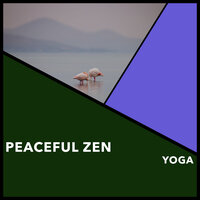 Sleek Reaction - Reiki Collective & Reiki Warmth & Reiki Zen Music