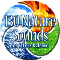 Medium Sized Quick Flowing River - Sounds of Nature White Noise for Mindfulness & Meditation and Relaxation