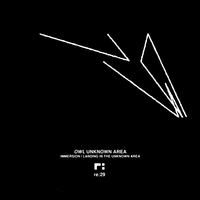 The Depth Of Light - Owl