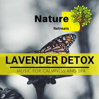 Joy for the Day - Yoga Music & Power Yoga Nature Sounds