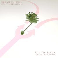 Now or Never - Dream Journal & Parisalexa