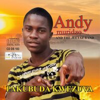 Ndoenda Naye - Andy Muridzo