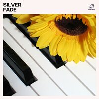 Piano Meditation Music - Acoustic Piano Collective & Classical Piano & Chilled Background Piano Music & Instrumental Piano Moments