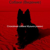 Чувство (Милые Собаки) - Спокойная собака Музыка романс