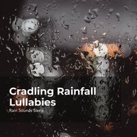 Hibernation With Rain - Rain Sounds Sleep & Rain Spa & Rain Sounds for Relaxation