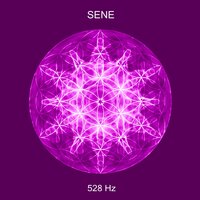 High Frequency - Sene
