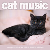 Instrumental Music For Pets for Sleeping - Cat Music & Music For Cats & Music For Pets