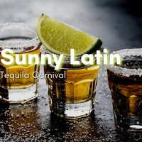 Carnival Fever - Buena Latino Club