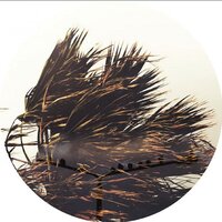 Mystic Feelings - Jonno
