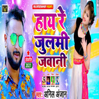 Haye Re Julmi Jawani - Anil Anjan
