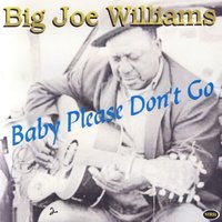 Somebody's Been Borrowing That Stuff - Big Joe Williams