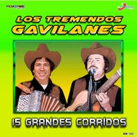 El Buque De Más Potencia - Los Tremendos Gavilanes