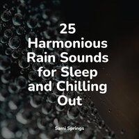 Drops of Rain - Loopable Rain & Academia de Música para Massagem Relaxamento & Nature Ambience