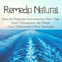 Enormes Benefícios (Técnica de Estudo) - Relaxamento Sons da Natureza Ruído Branco Musicas Clube