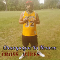 You Aint Gonna Make It - Cross Wires