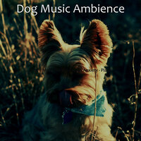 Bright Music for Doggy Training - Dog Music Ambience