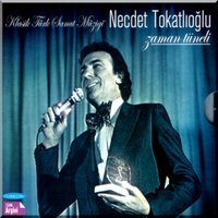 Sebepsiz Ayrılık - Necdet Tokatlıoğlu