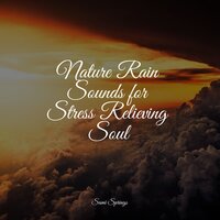 Drops of Rain - Ambient Rain & Deep Sleep Music Academy & Wave Sound Group