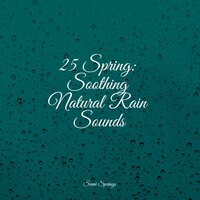 Sound of Storms - Relaxing Sleep Music & Rest & Relax Nature Sounds & Regengeräusche