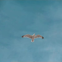 一起疯狂的那年 - 轻松音乐