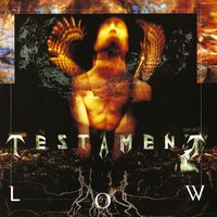 Legions (In Hiding) - Testament