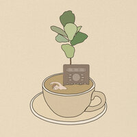 Inner Peace - Kindbrew & Linearwave