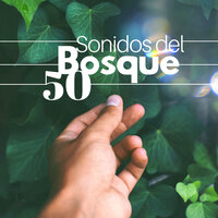 Manejo Relajado - Aliento Luz