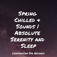 Loving Atmosphere - Deep Sleep & Spa & Study Music Library