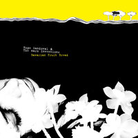 On the Low - Hope Sandoval