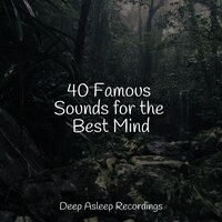 A Peaceful Place - Nature Recordings & Alpha Brain Waves & Relajacion Del Mar