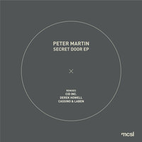Salt & Light - Peter Martin