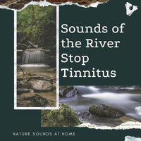 River Washes Away Anxiety - Nature Sounds At Home