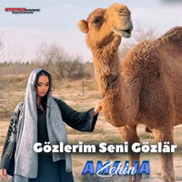 Gözlerim Seni Gözlär - Amalia Zehin