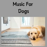 Slobbery Puppy Kisses - Music for Dogs & Music for Dogs Peace & Relaxing Puppy Music & Calm Pets Music Academy