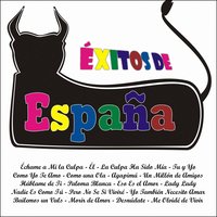 Pero No Se Si Viviré - Banda los Charoles