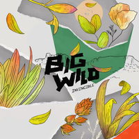 When I Get There - Big Wild