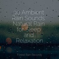 Beach, Waves, Lapping, Medium - Relaxed Minds & Saludo al Sol Sonido Relajante & Rainforest