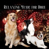 Blissful Melodies - Dog Music & Dog & Calm & Dog Therapy Zone