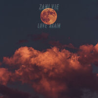 Love Again - Zani Vie