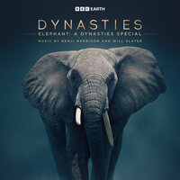 The Heart of Amboseli - Benji Merrison & Will Slater