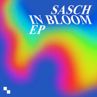 In Bloom - sasch